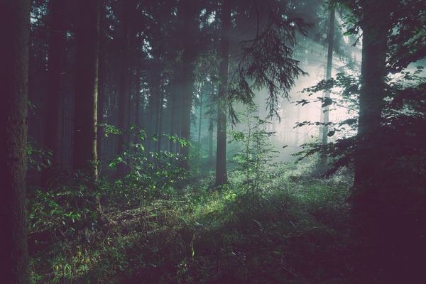 Über 3,64 Millionen Euro für Naturschutz und Umweltbildung